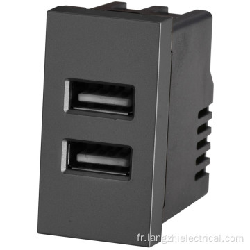 Prise USB à 2 ports 2.1a 5V (110-240V ~)